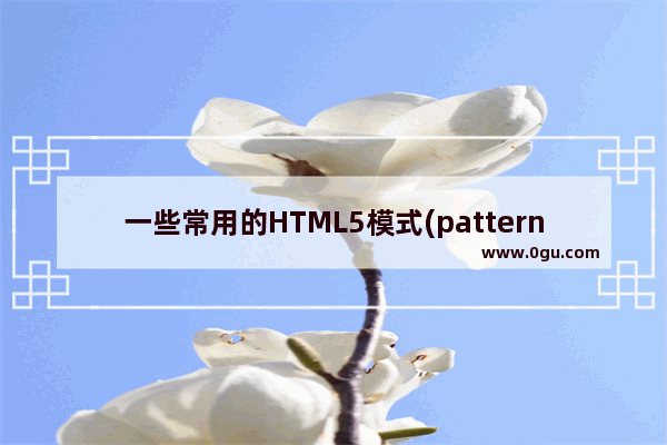 一些常用的HTML5模式(pattern) 总结