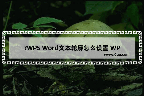 ?WPS Word文本轮廓怎么设置 WPS文档中设置文本轮廓效果的方法教程
