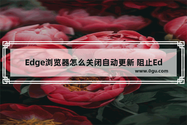 Edge浏览器怎么关闭自动更新 阻止Edge浏览器更新的方法