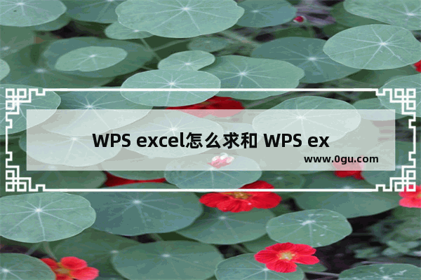 WPS excel怎么求和 WPS excel求和的两种方法