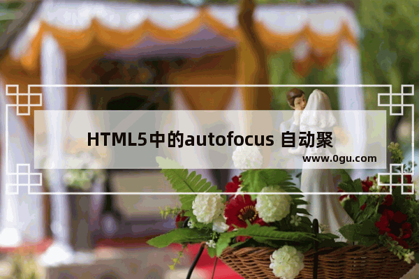 HTML5中的autofocus 自动聚焦属性介绍