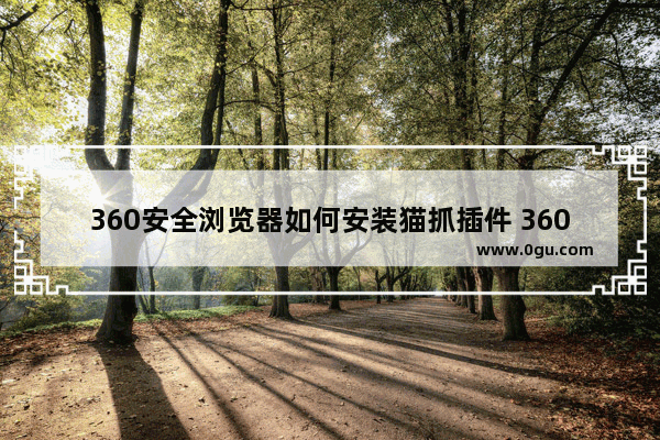 360安全浏览器如何安装猫抓插件 360安全浏览器安装猫抓插件的方法