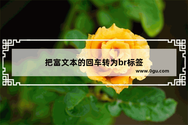 把富文本的回车转为br标签