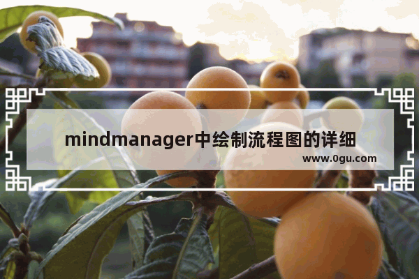 mindmanager中绘制流程图的详细操作方法