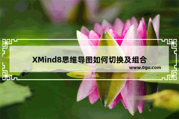 XMind8思维导图如何切换及组合