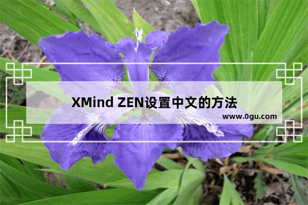 XMind ZEN设置中文的方法