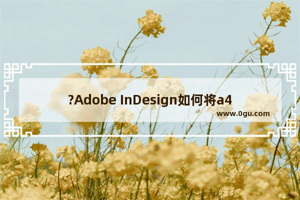 ?Adobe InDesign如何将a4文件转成a5 InDesign将a4转成a5的方法