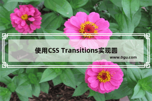 使用CSS Transitions实现圆形悬停效果的示例代码