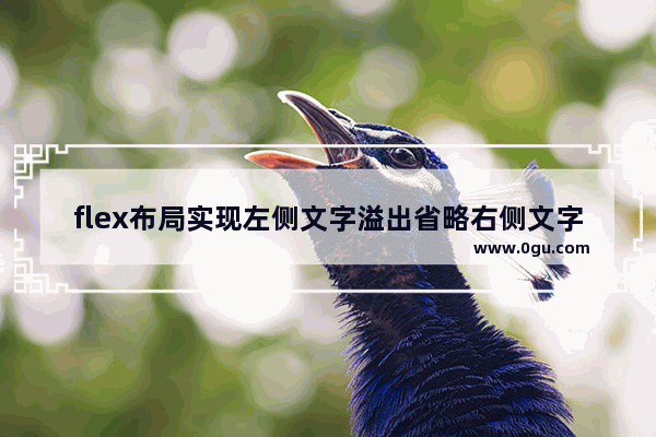 flex布局实现左侧文字溢出省略右侧文字自适应