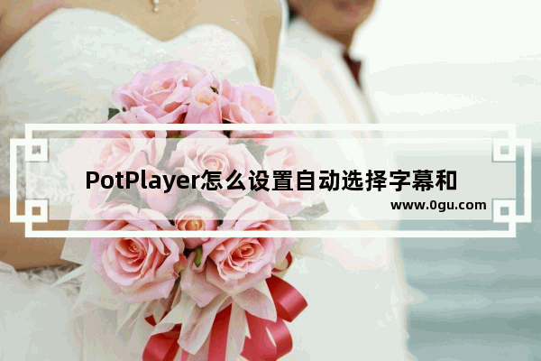 PotPlayer怎么设置自动选择字幕和语言 PotPlayer自动选择字幕和语言的方法