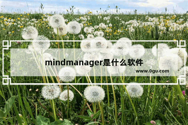 mindmanager是什么软件