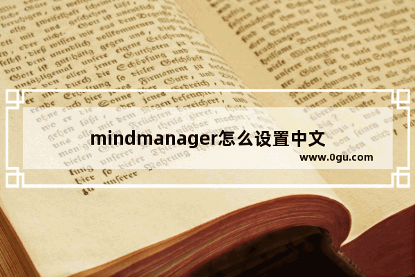 mindmanager怎么设置中文