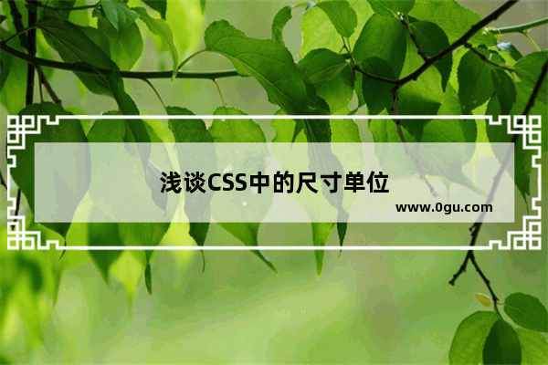 浅谈CSS中的尺寸单位