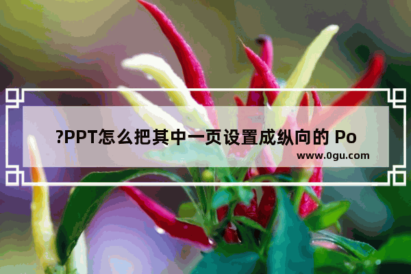 ?PPT怎么把其中一页设置成纵向的 PowerPoint演示文稿中单独设置一页纵向的方法教程