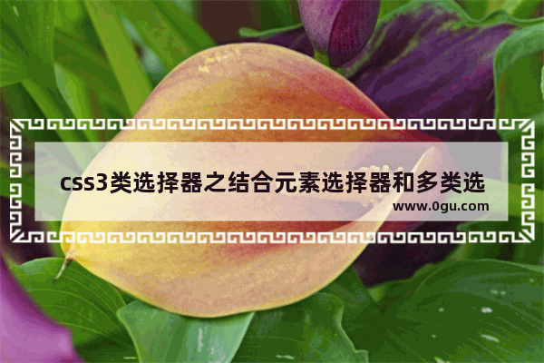 css3类选择器之结合元素选择器和多类选择器用法