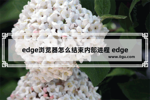 edge浏览器怎么结束内部进程 edge浏览器结束内部进程的方法