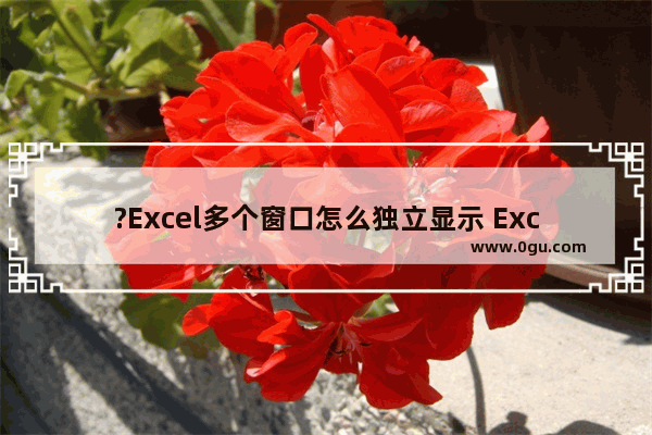 ?Excel多个窗口怎么独立显示 Excel表格让两个窗口独立显示的方法教程