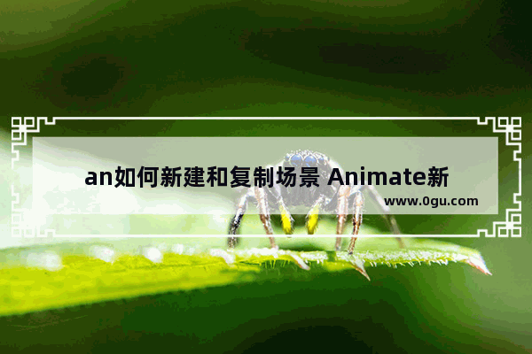 an如何新建和复制场景 Animate新建和复制场景的方法