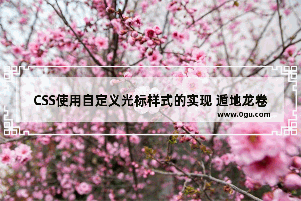 CSS使用自定义光标样式的实现 遁地龙卷风
