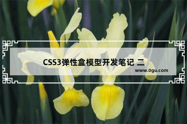 CSS3弹性盒模型开发笔记 二