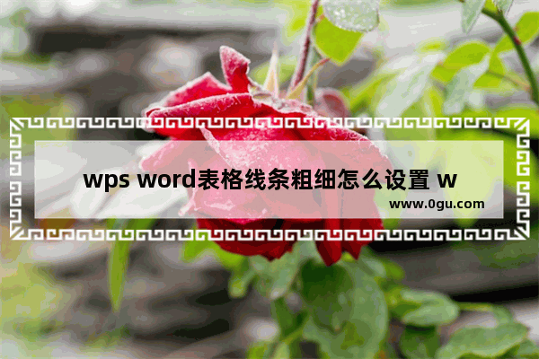 wps word表格线条粗细怎么设置 wps Word设置表格线条粗细的方法