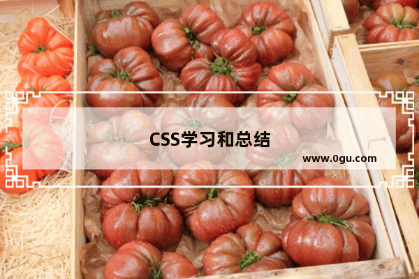 CSS学习和总结