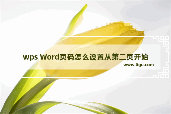 wps Word页码怎么设置从第二页开始 WPS Word设置页码从第2页开始排序的方法