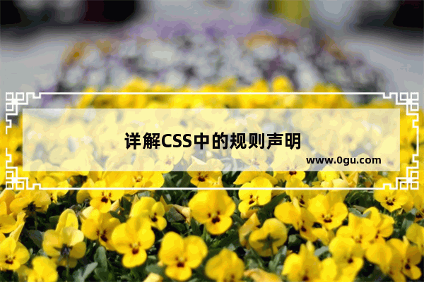 详解CSS中的规则声明