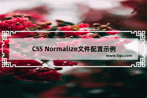 CSS Normalize文件配置示例