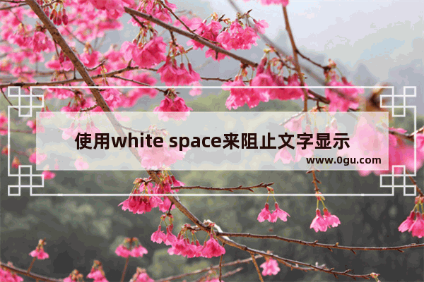 使用white space来阻止文字显示自动换行