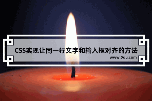 CSS实现让同一行文字和输入框对齐的方法