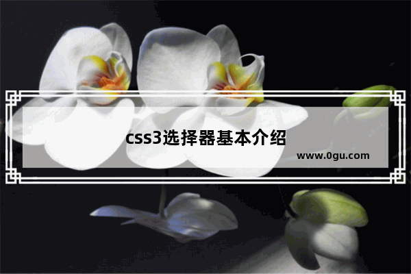 css3选择器基本介绍