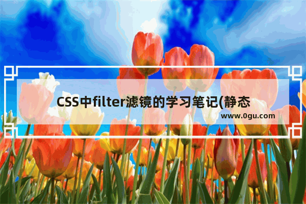 CSS中filter滤镜的学习笔记(静态滤镜及动态滤镜)