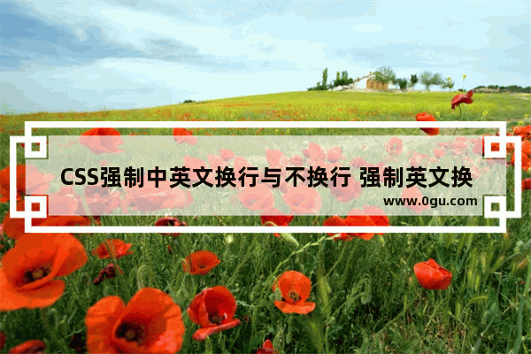 CSS强制中英文换行与不换行 强制英文换行示例