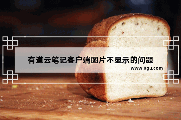 有道云笔记客户端图片不显示的问题