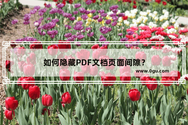 如何隐藏PDF文档页面间隙？