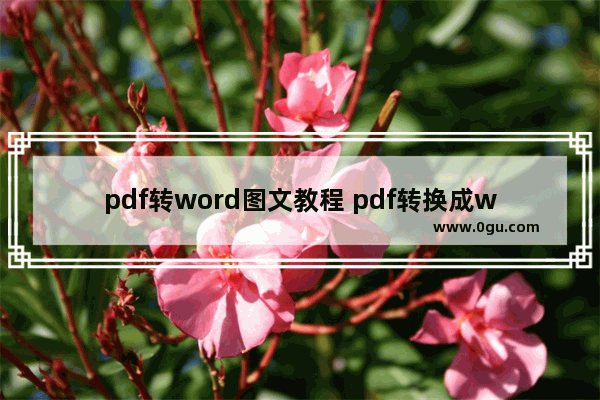 pdf转word图文教程 pdf转换成word教程