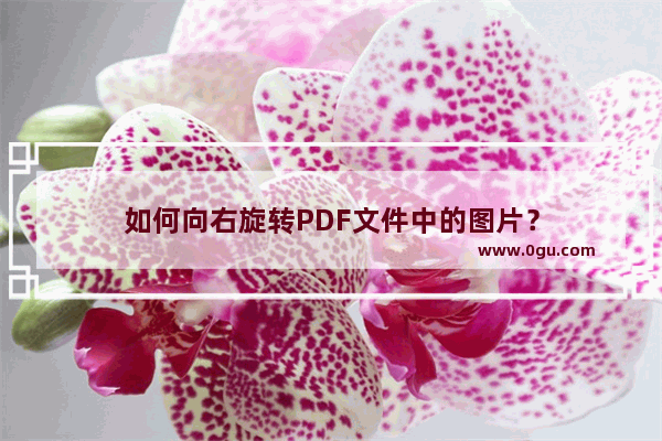 如何向右旋转PDF文件中的图片？