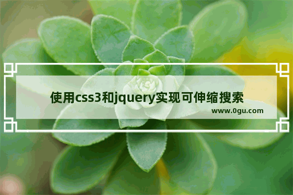 使用css3和jquery实现可伸缩搜索框