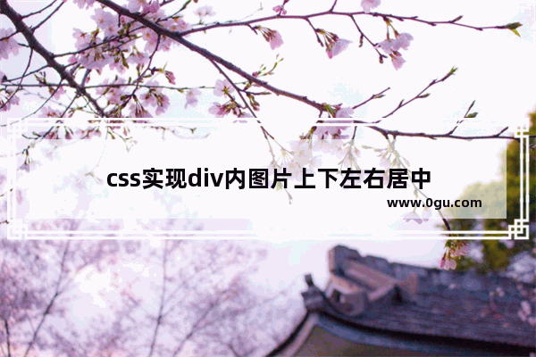 css实现div内图片上下左右居中