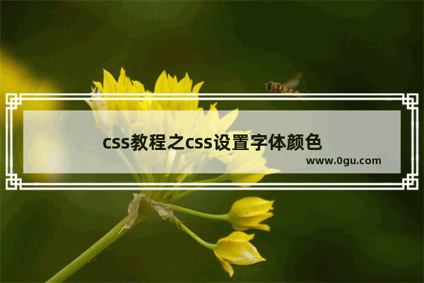 css教程之css设置字体颜色