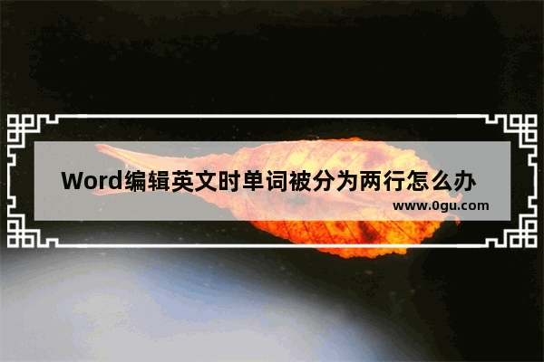 Word编辑英文时单词被分为两行怎么办 Word编辑英文让单词在一行的方法