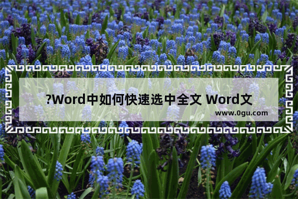 ?Word中如何快速选中全文 Word文档快速选中全文内容的方法教程