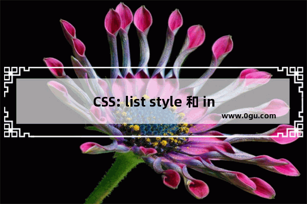 CSS: list style 和 inline使用方法详解