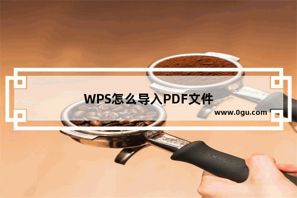 WPS怎么导入PDF文件