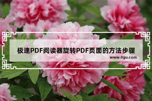 极速PDF阅读器旋转PDF页面的方法步骤