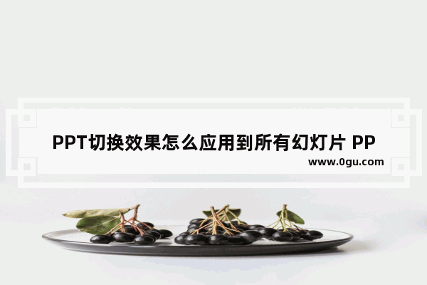 PPT切换效果怎么应用到所有幻灯片 PPT切换效果应用到所有幻灯片的方法