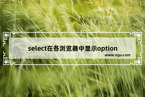 select在各浏览器中显示option的测试结果分享