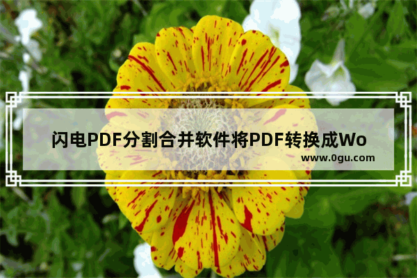 闪电PDF分割合并软件将PDF转换成Word文件的操作方法