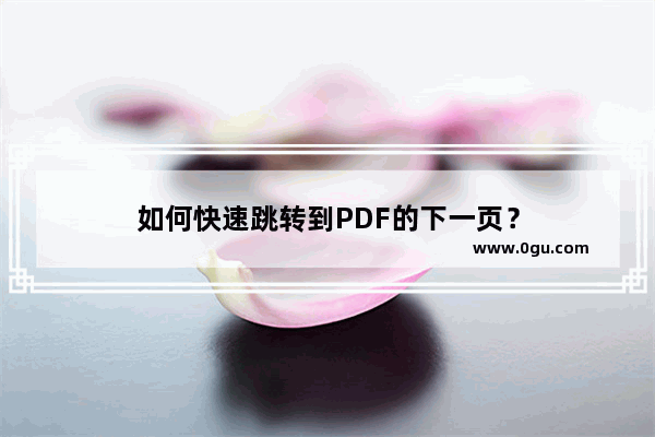 如何快速跳转到PDF的下一页？